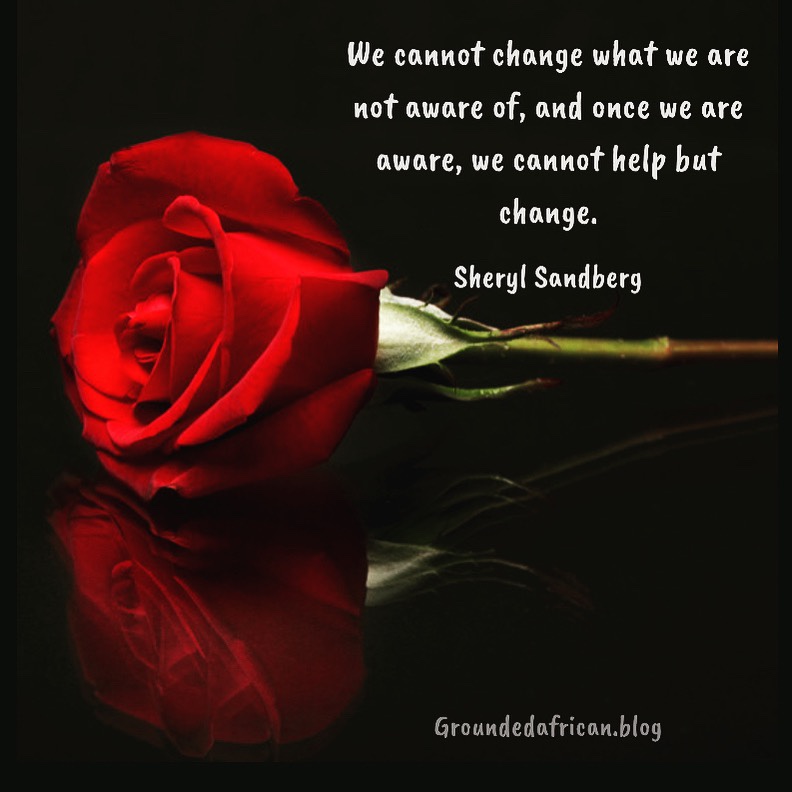 Deep red rose and it’s reflection on a dark shiny surface. Quote by Sheryl Sandberg