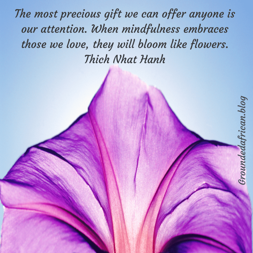 Flower petal backlight by sun. Quote by Thich Nhat Hanh