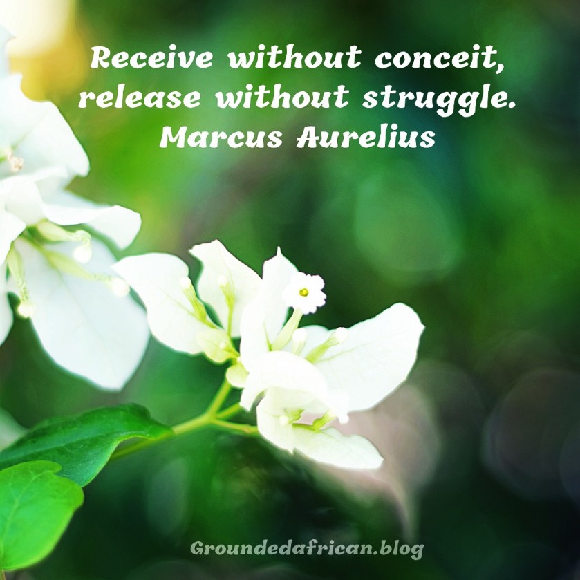 White flower in green backdrop. 