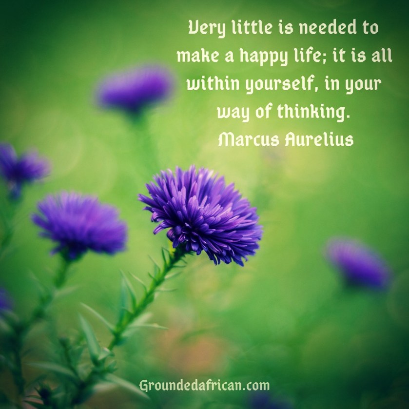 Purple flowers amongst long green grass. Quote by Marcus Aurelius about simplicity bringing happiness