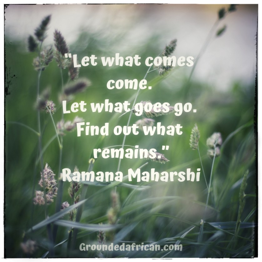 Field of white flowers in the wind. Quote by Ramana Maharshi 