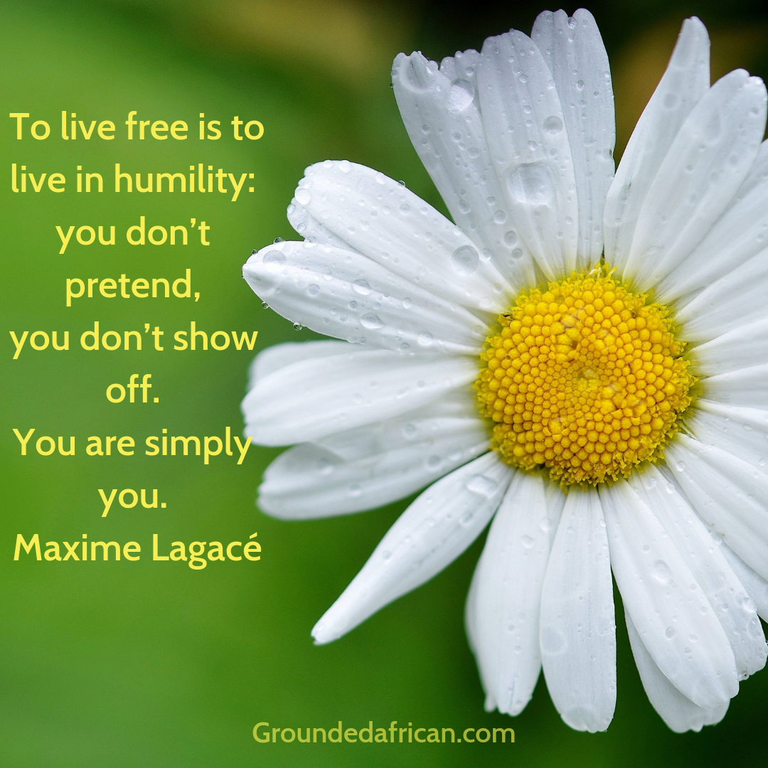 White daisy. Quote about humility by Maxime Lagacé 