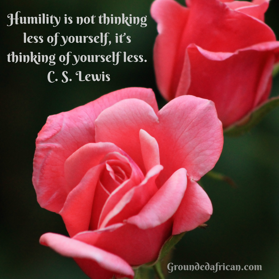 2 pink roses against a dark background. Quote about humility by C.S. Lewis