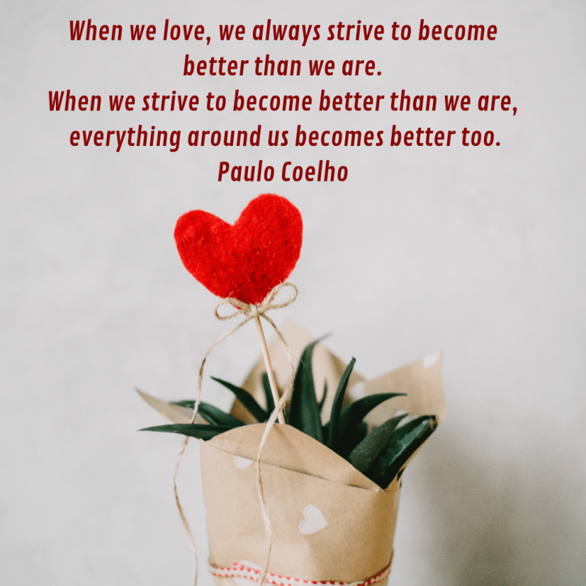 Succulent gift wrapped in brown paper with heart on a stick. Quote by Paulo Coelho 