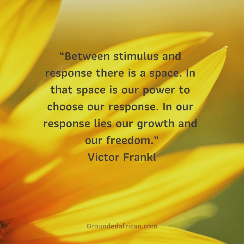 Sunflower. Quote by Viktor Frankl