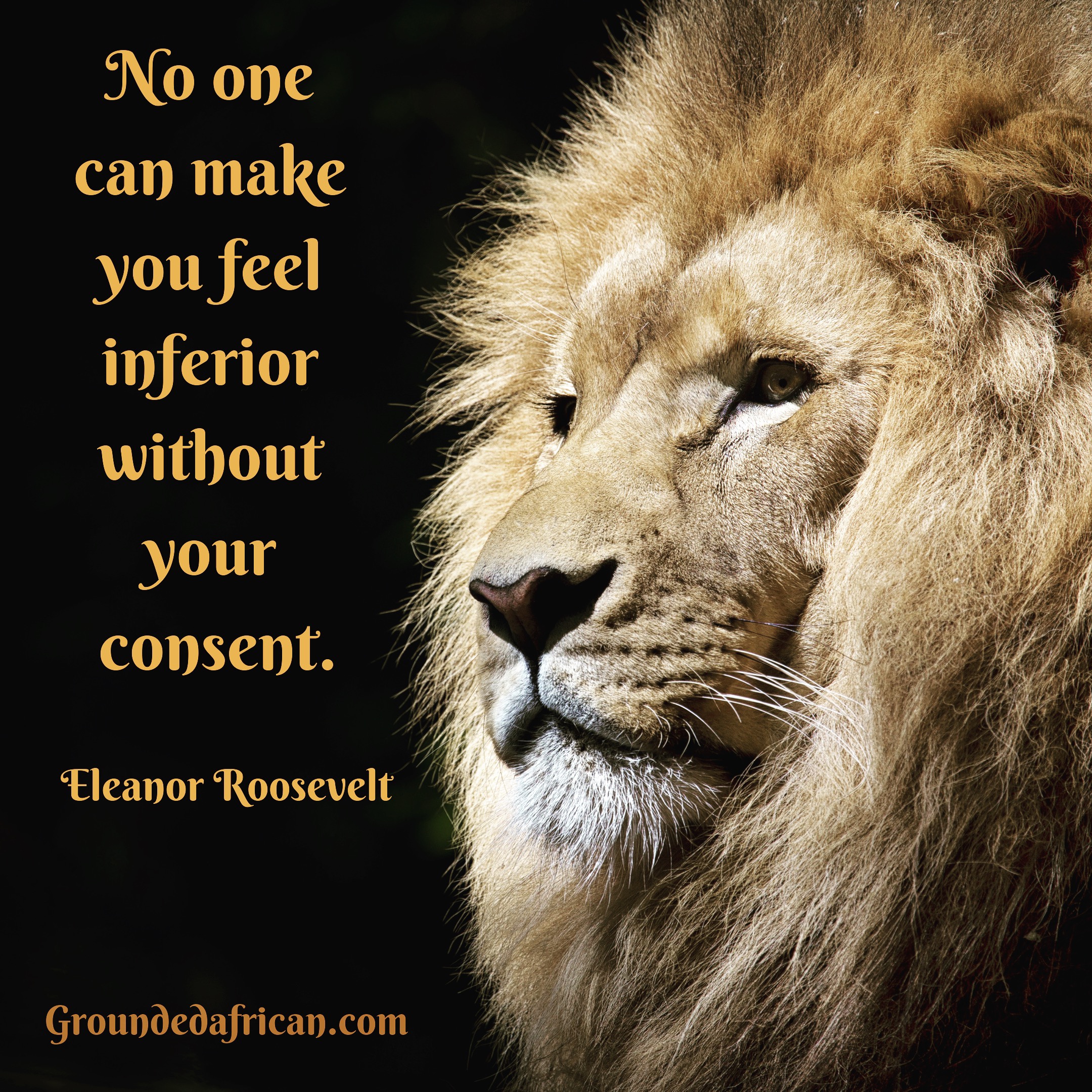 Male Lion. Quote by Eleanor Roosevelt 