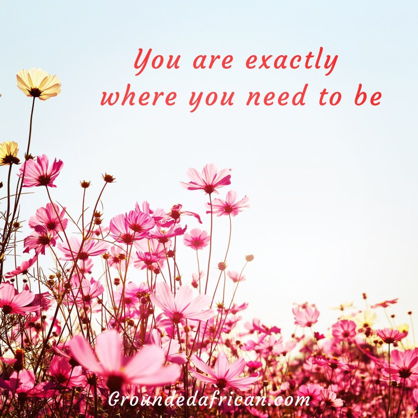 Pink and yellow flowers 