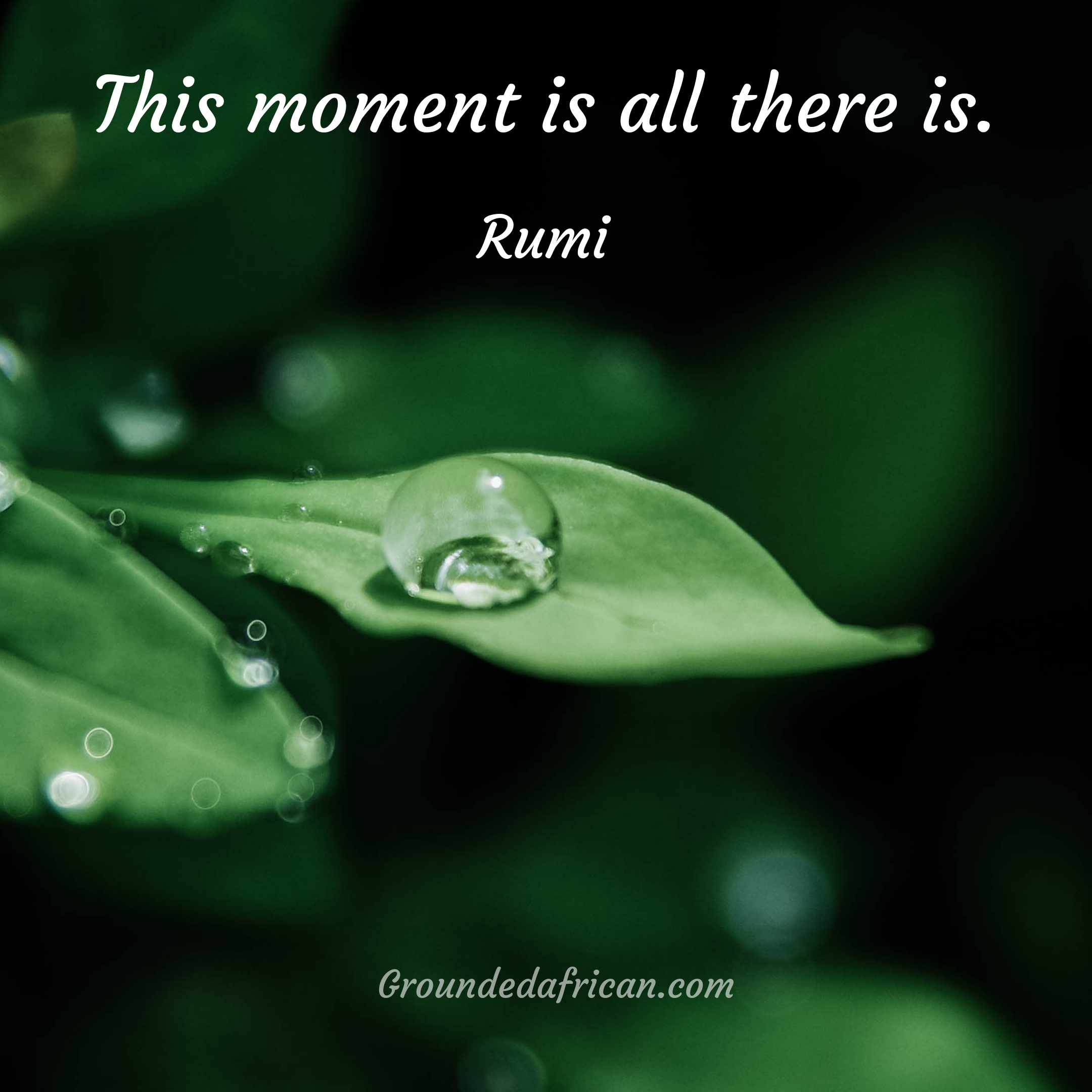 Dew droplets on a leaf. Quote by Rumi