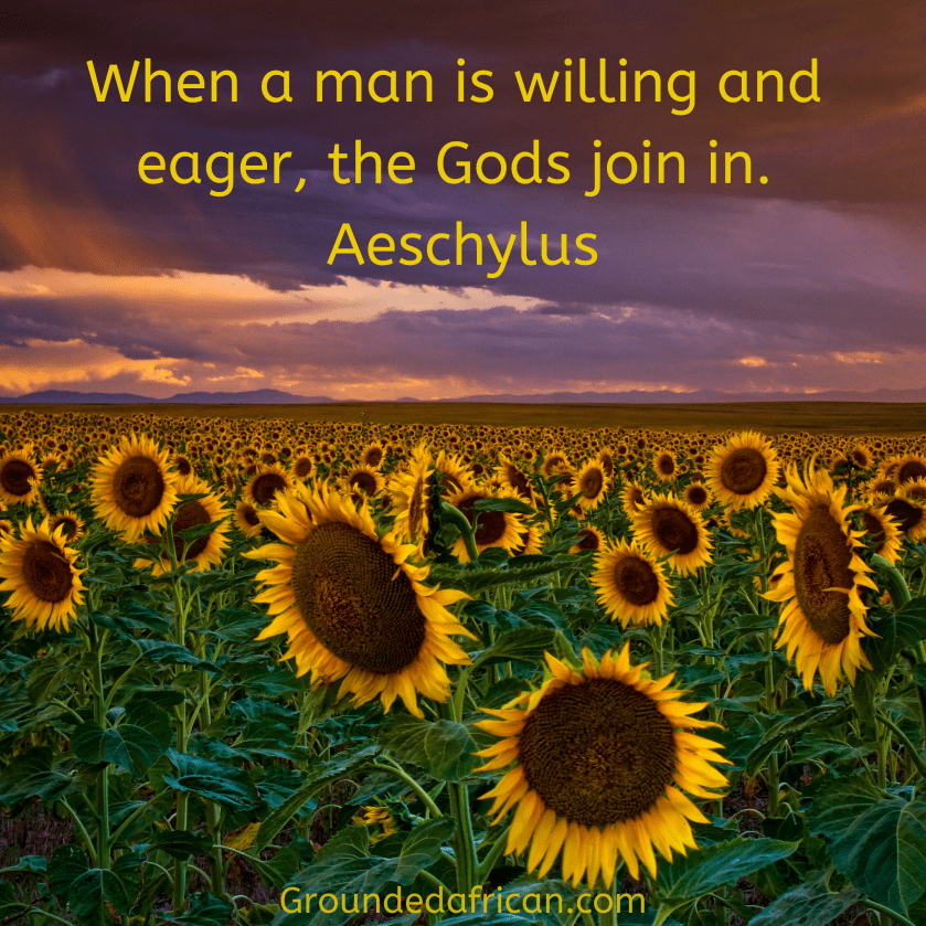 Field of sunflowers under an overcast purple sky