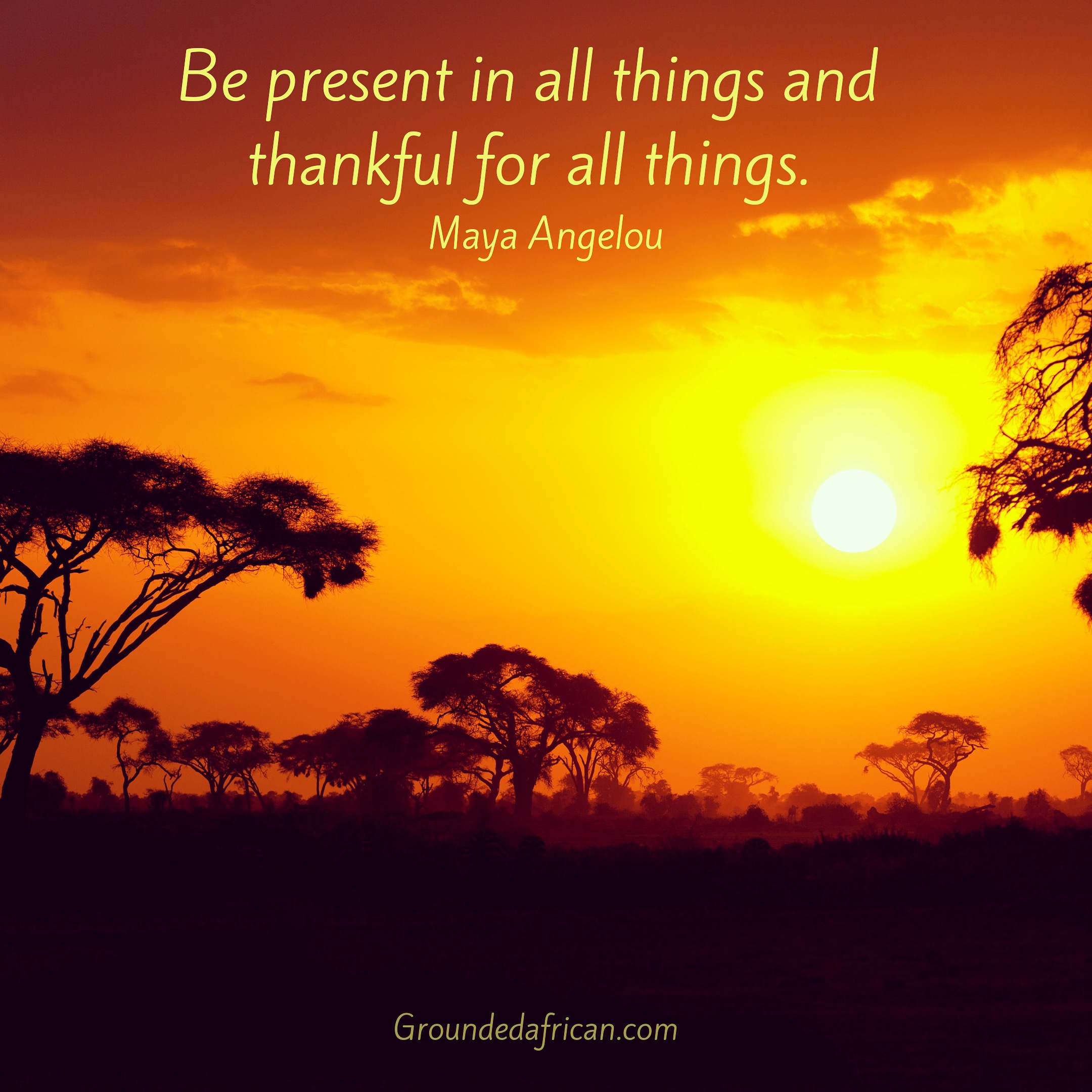 African landscape painted orange by the setting sun