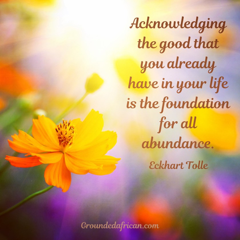 Sun shining down on flowers