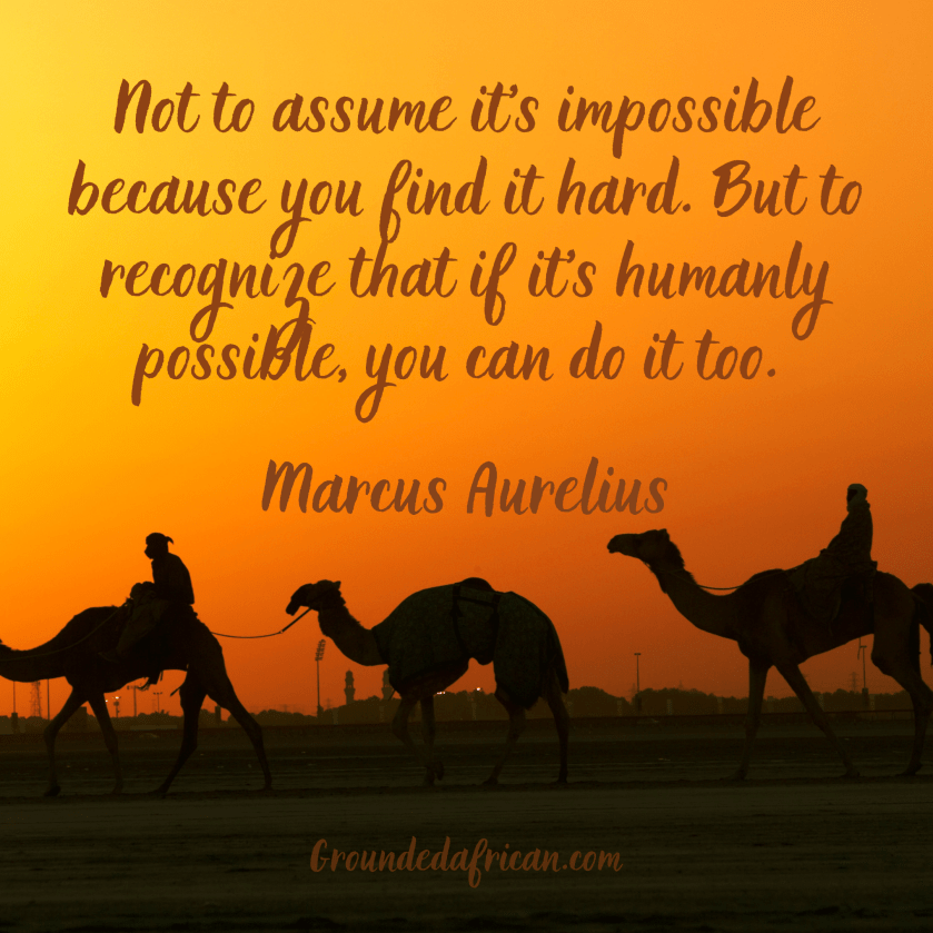 Camels in the desert at sunset. Dubai in distant background. 