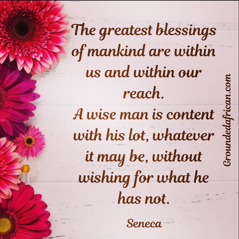 Pink daisies. Quote by Seneca