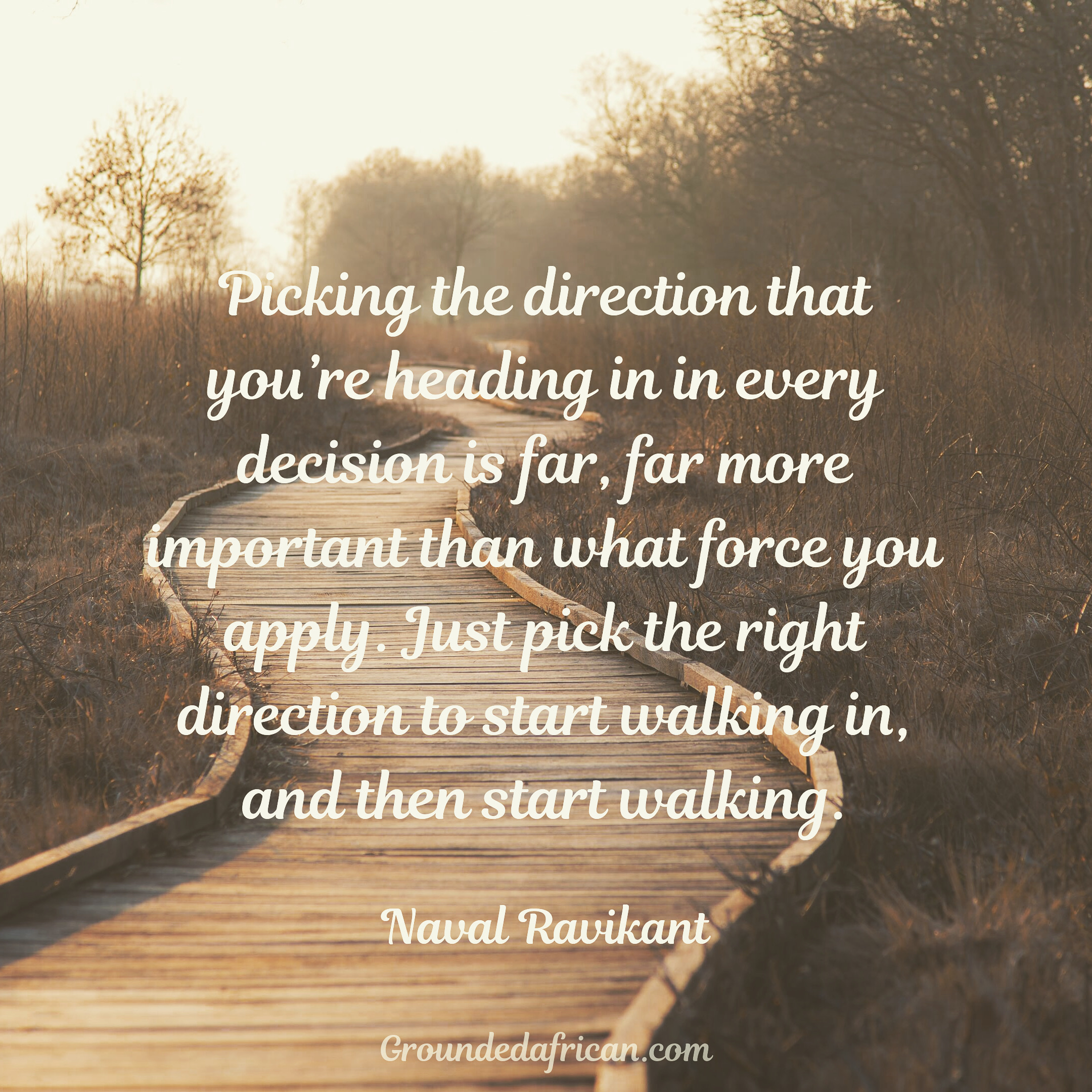 Wooden path in on the edge of a forest