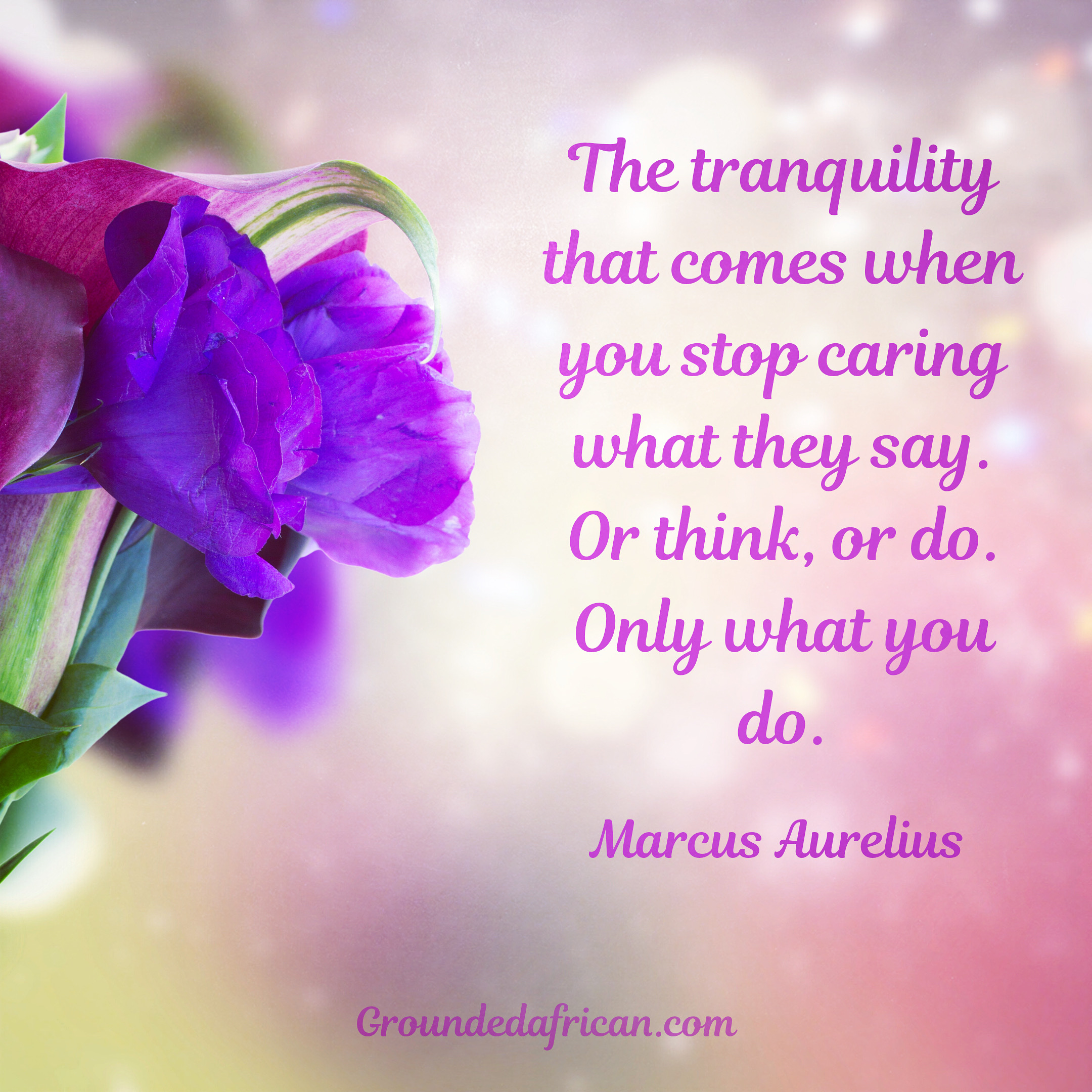 Carram lillies and other flowers