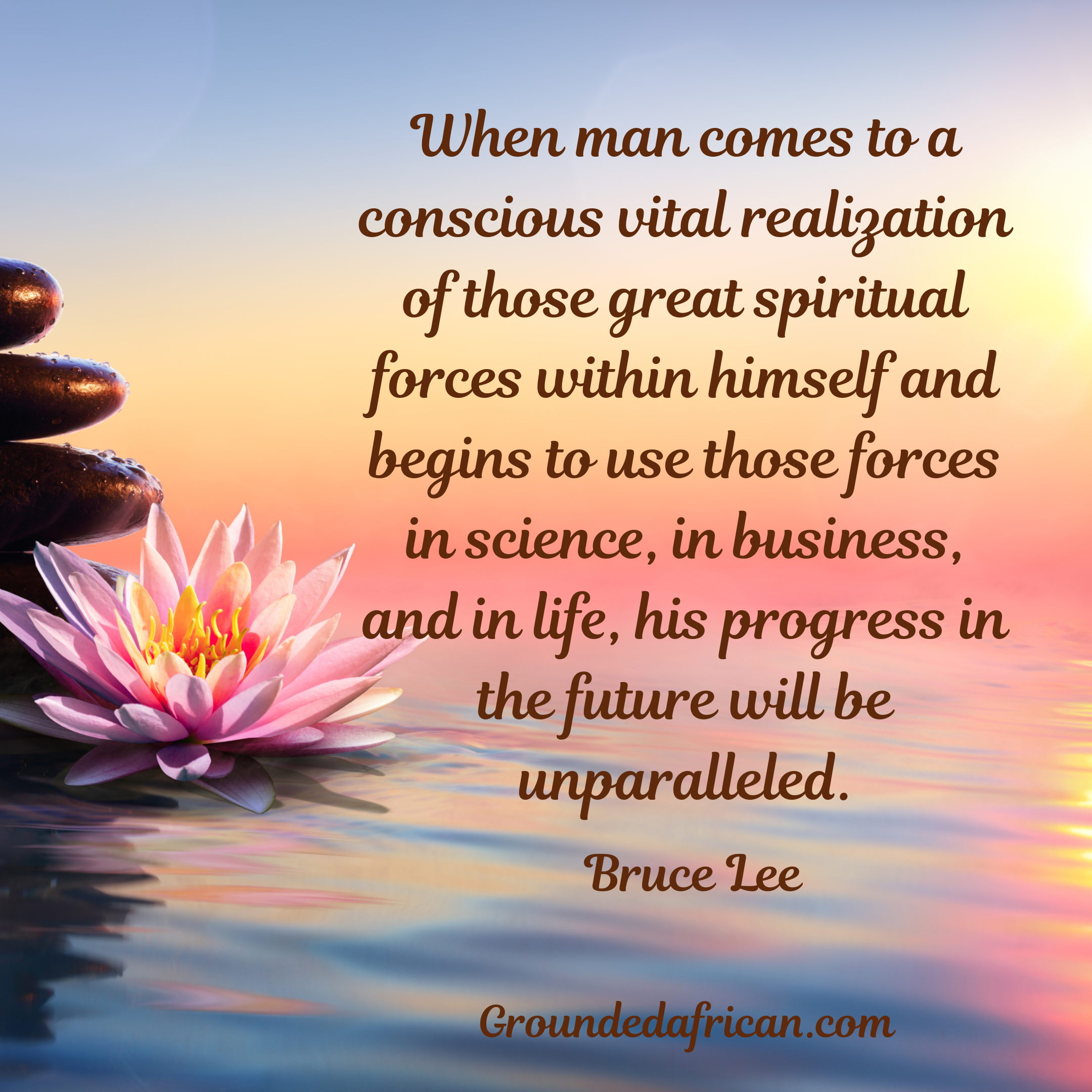 Pink Lotus  on river at sunset