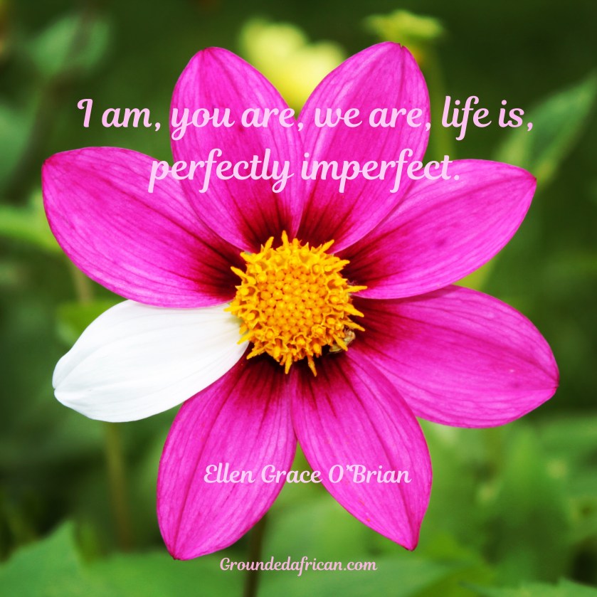 Pink daisy with one white petal