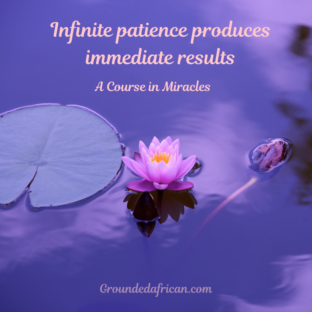 Lotus and lily pad on river 