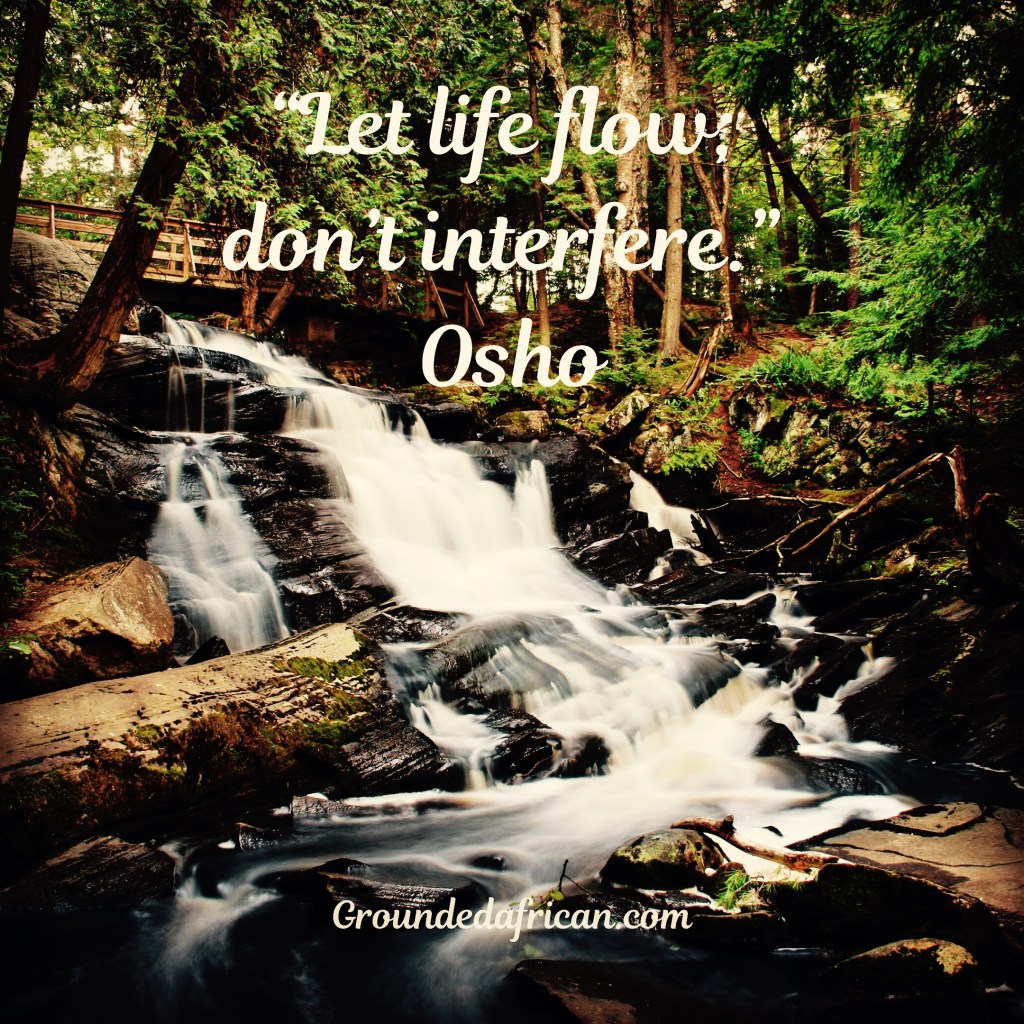 Fast flowing stream in forest